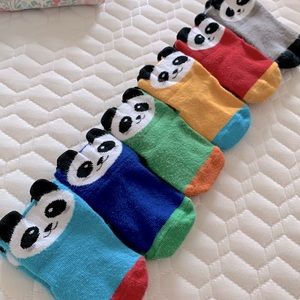 Baby Panda Assorted Color Socks 0-6m